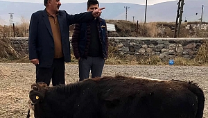 AMCA, YEĞENİ TARAFINDAN ÖLDÜRÜLDÜ