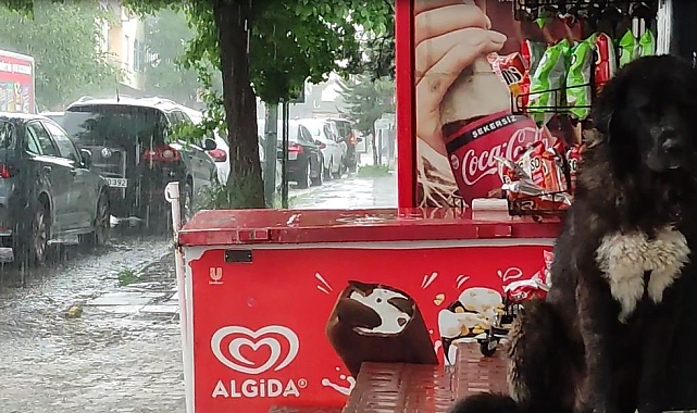 Ardahan'da etkili olan sağanak, hayatı olumsuz etkiliyor