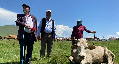 BAŞKAN SURAL: "ŞAP NEDENİYLE ÖLEN HAYVANLAR İÇİN TAZMİNAT ÖDENSİN"