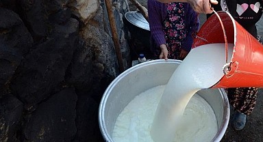 Çıldır’da kadın üreticilere süt hijyeni eğitimi verilecek