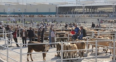 Ardahan hayvan pazarı Pazartesi açılıyor