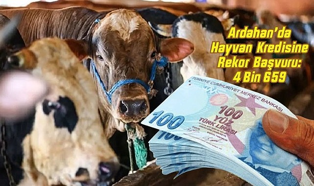 Hayvancılık projesine rekor başvuru