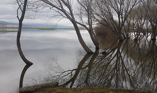 Doğanın kalbi Ardahan’da atıyor