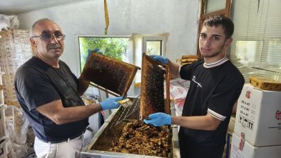 Bir yandan babasına yardım etti diğer yandan ders çalıştı, hayalindeki bölümü kazandı