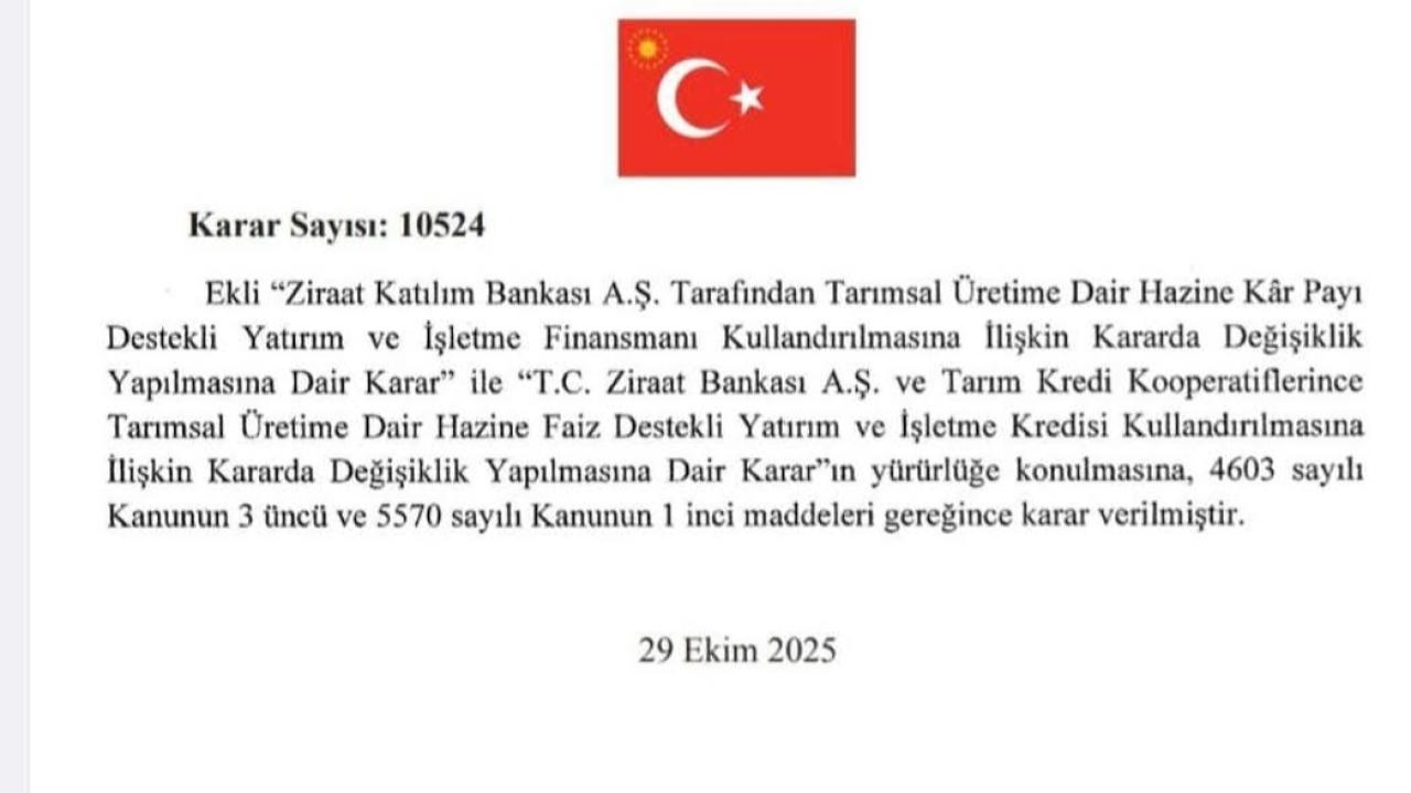 Otomatik Taslak