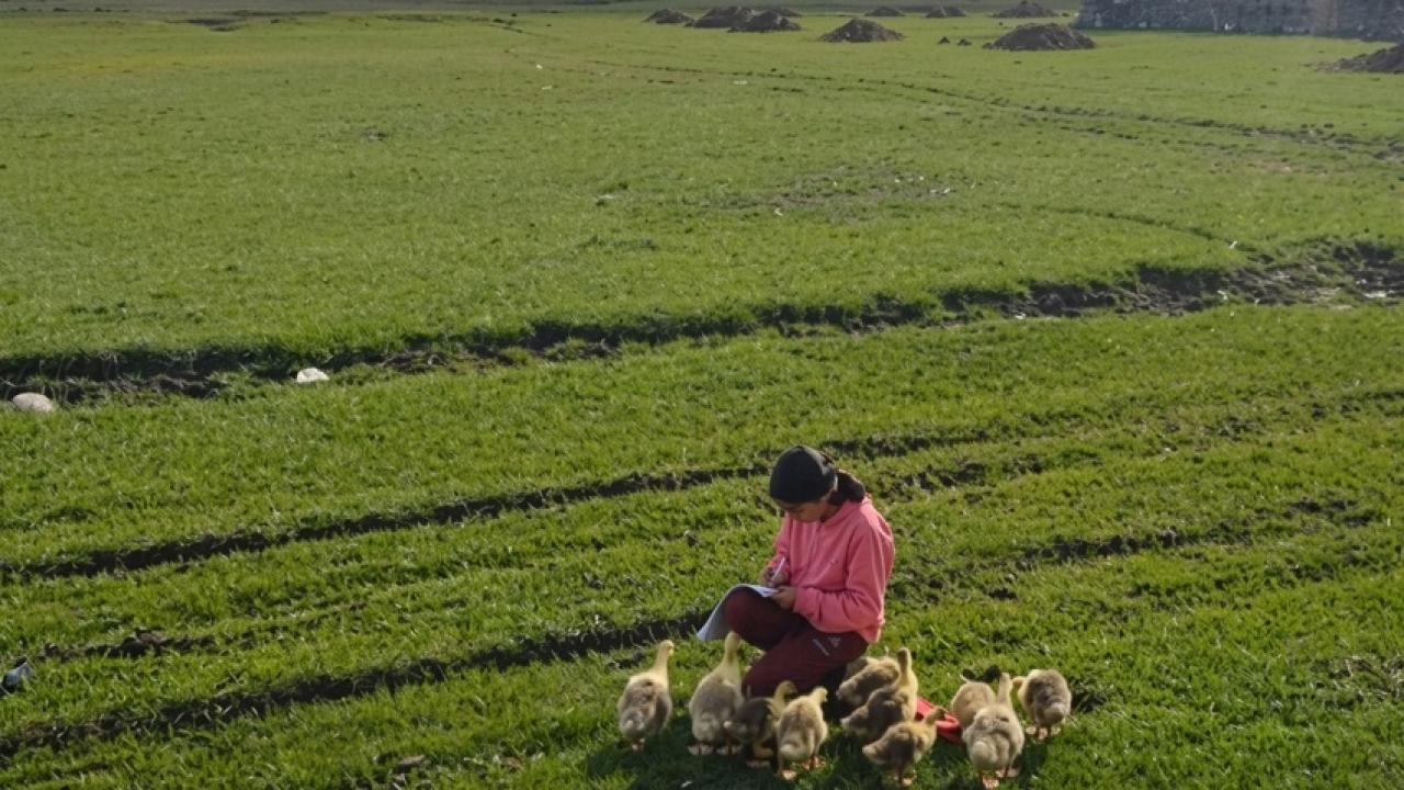 Avukat Yılmaz’ın kadrajından: Ardahanlı kız çocuklarının okuma azmi ve gelecek hayalleri