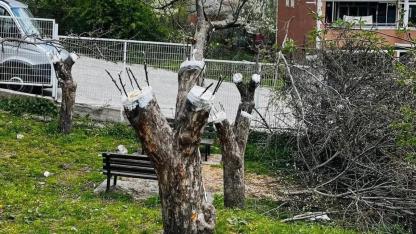 Posof’ta Meyve Çeşitleri Gen Bahçesi Oluşturuldu