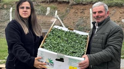 Tarım Müdürlüğü harekete geçti: Ardahan’da kartopinin yerini domates-biber ve hıyar aldı!