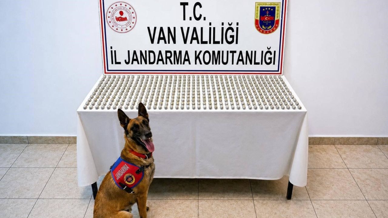 Van’da 8 İranlı’nın midesinde 3 kilo esrar ele geçirildi