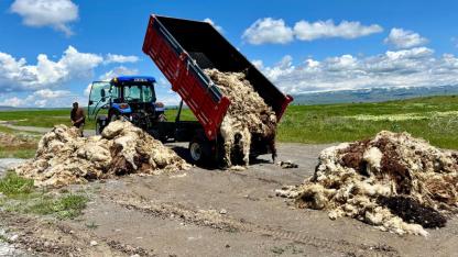 Ardahan’da yün çilesi
