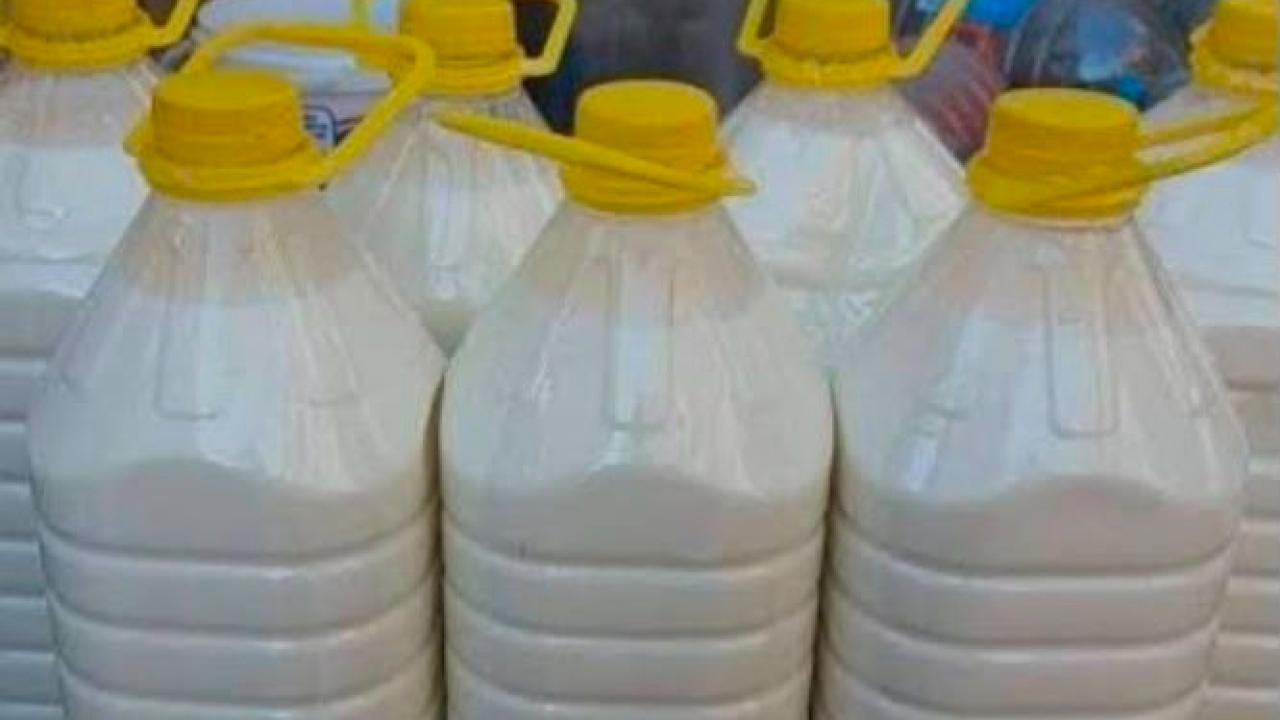 Ardahanlı süt üreticisinden fiyat isyanı