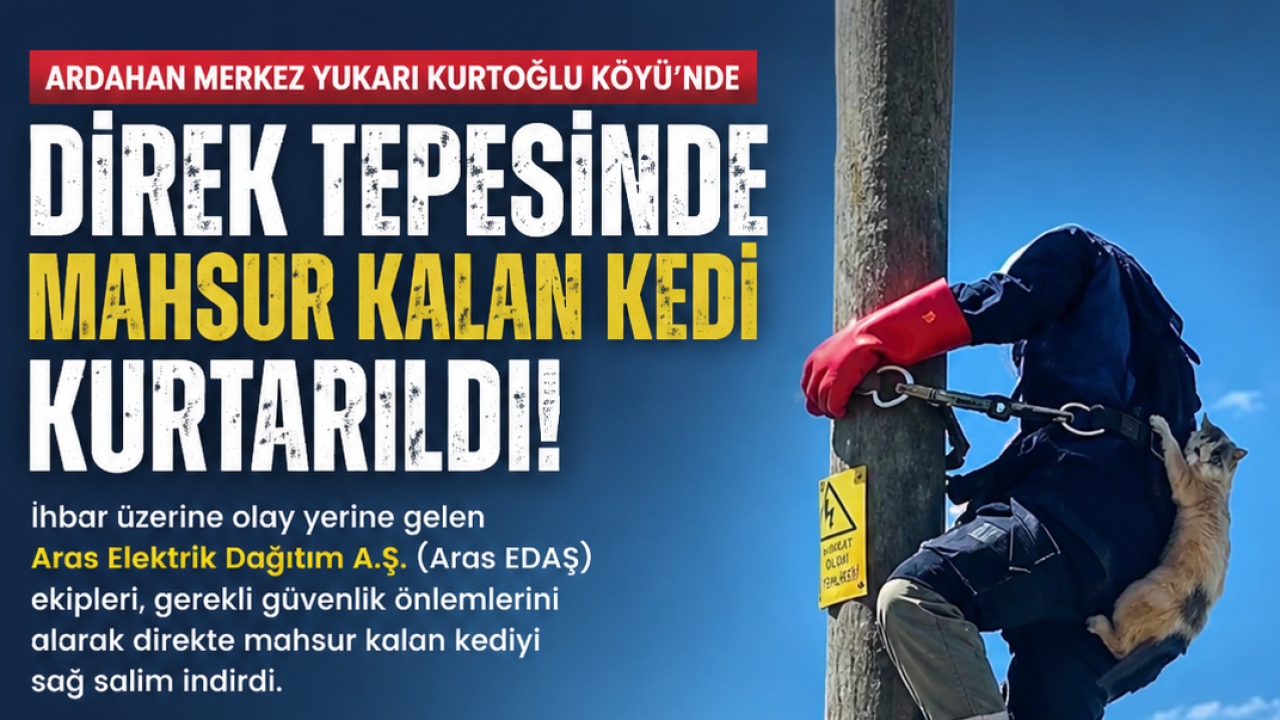 Direkte mahsur kalan kedi kurtarıldı