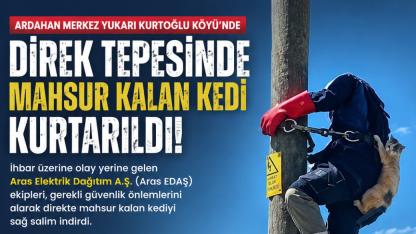 Direkte mahsur kalan kedi kurtarıldı