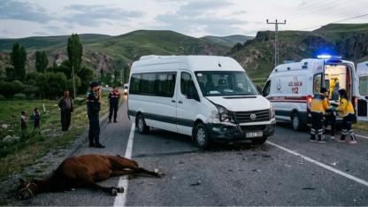 Göle’de Piknik Dönüşü Servis Aracı Ata Çarptı