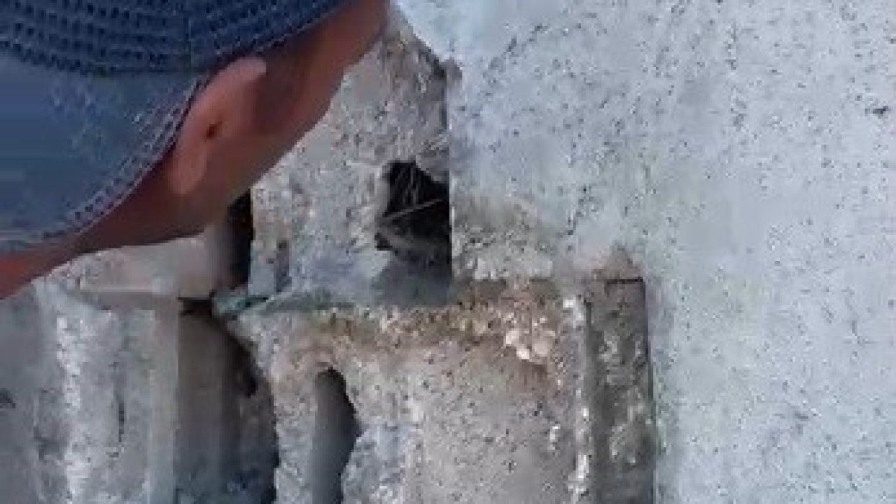 Kars’ta sıva altından gelen ses hayat kurtardı: Usta duvarı kırıp kuş yavrularını kurtardı
