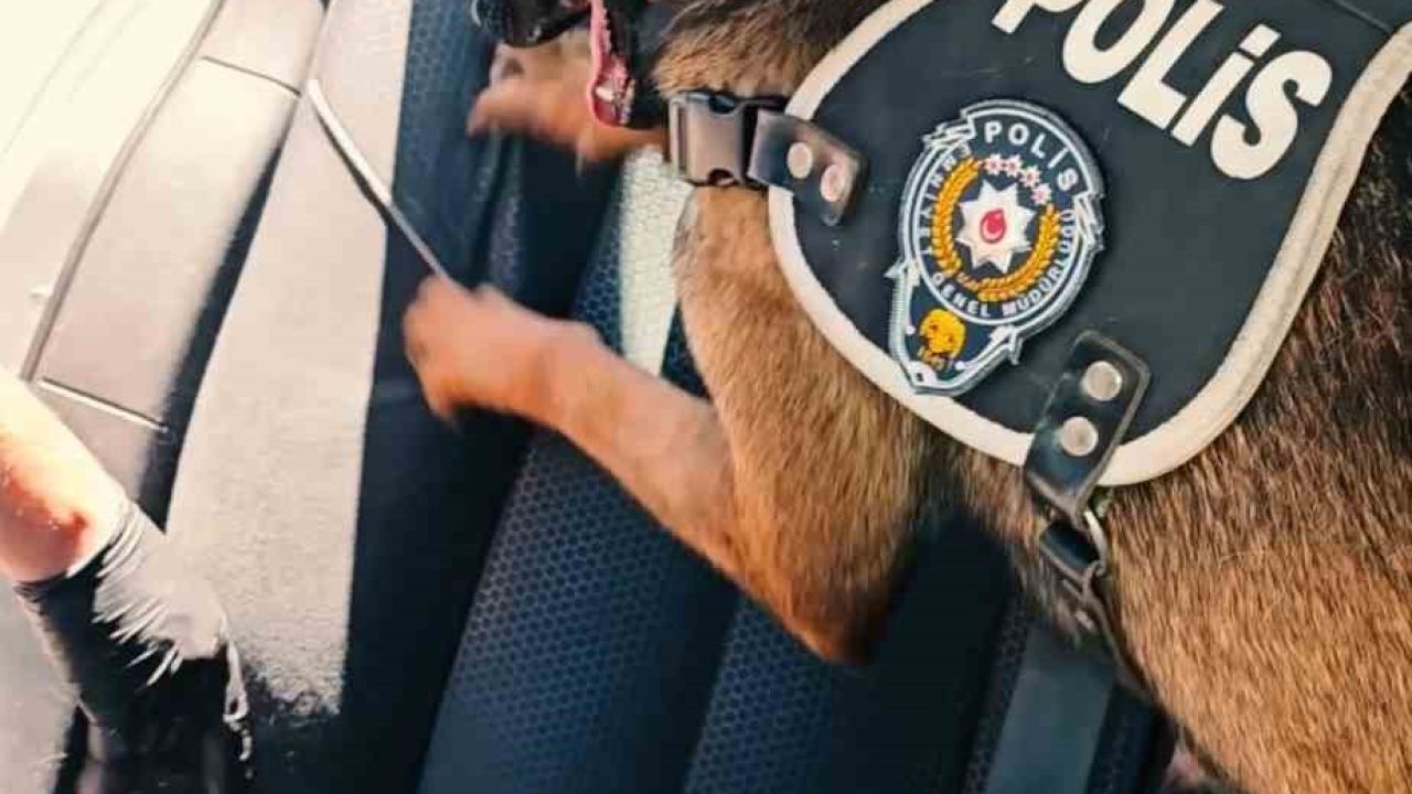 Muş’ta 60 kilogram uyuşturucu ele geçirildi