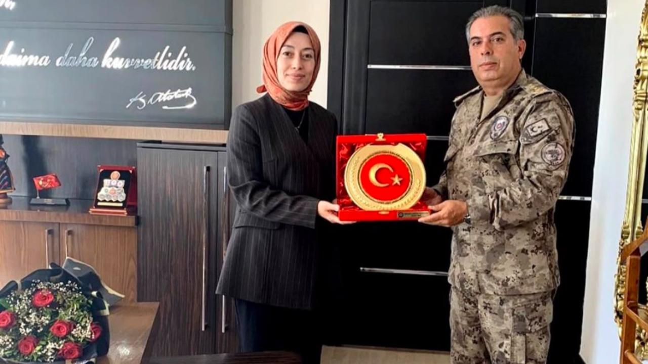 Otomatik Taslak