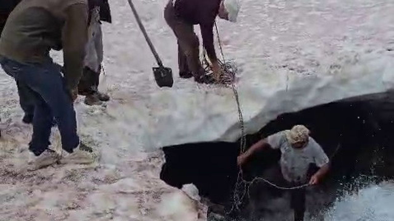 Tortum’da buzullarda dana kurtarma operasyonu