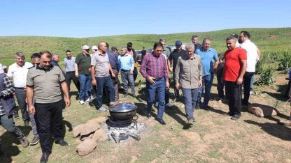 Bir zamanlar güvenlik nedeniyle kullanılamayan yaylalar, bugün hayvancılığın merkezi oldu