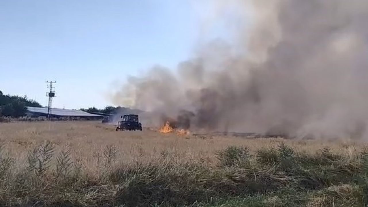 Elazığ’da arazi yangını