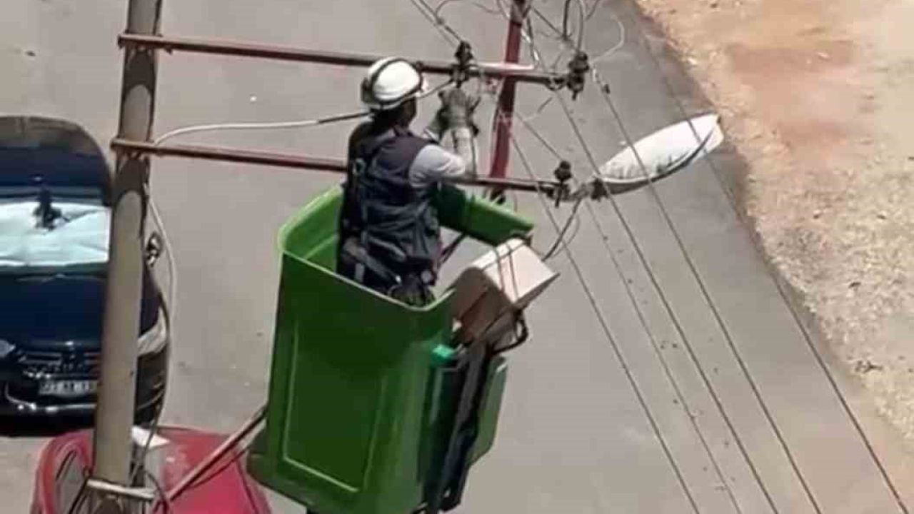 Elektrik tellerine takılan kuş kurtarıldı