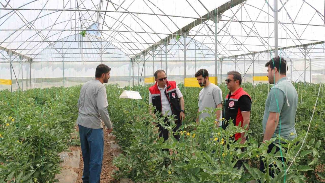 Erzincan’da seracılık faaliyetleri yerinde incelendi