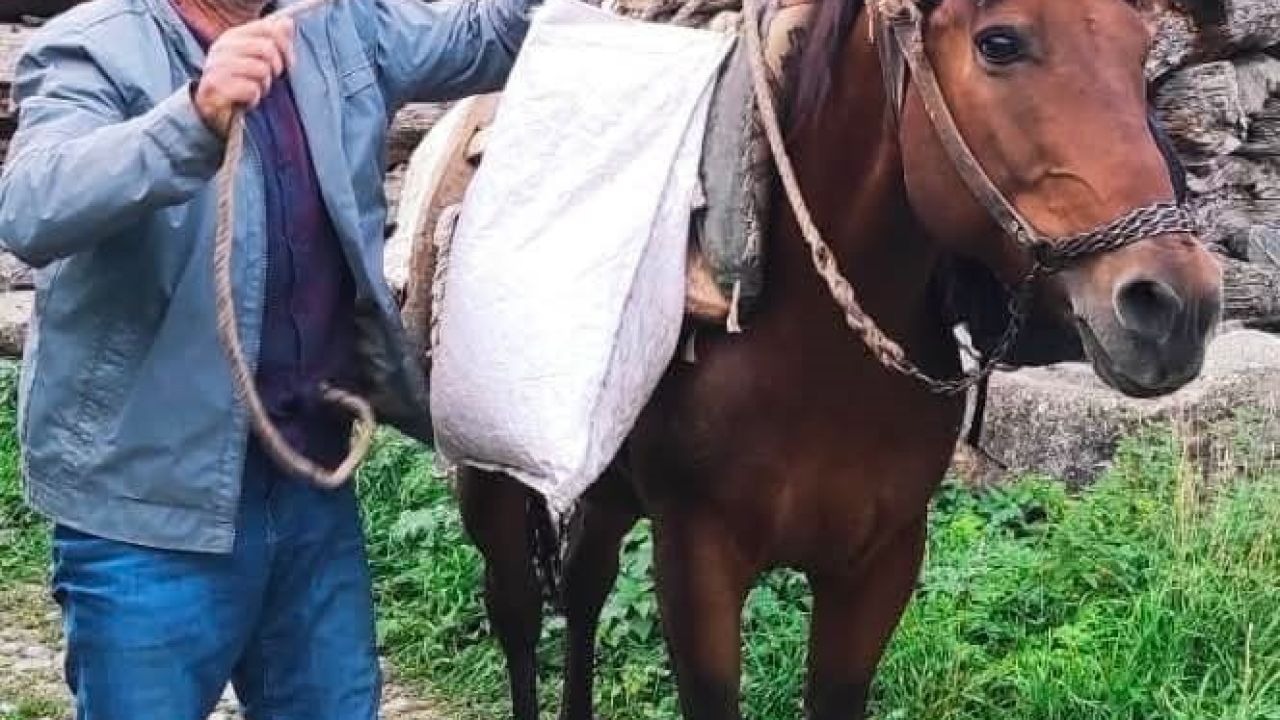 Erzurum’da acı olay: Psikolojik tedavi gören şahıs derede can verdi