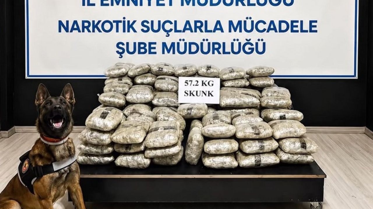 Hakkari’de 57 kilo 200 gram skunk ele geçirildi