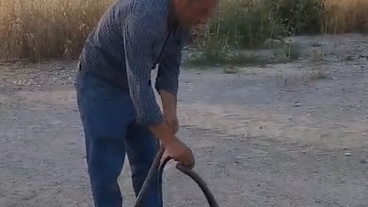 Muhtar, evlere giren yılanları eliyle yakalayıp doğaya bırakıyor