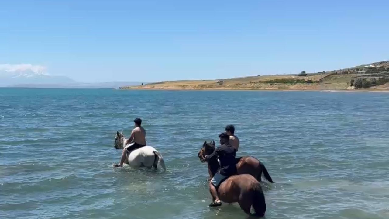 Sıcaktan bunalan gençler atlarıyla Van Gölü’nde serinledi