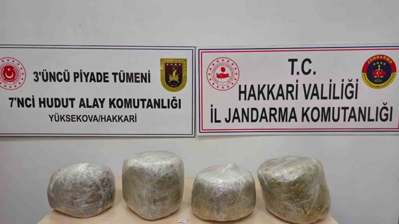 Yüksekova’da 11 kilo skunk ele geçirildi
